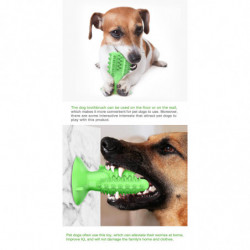 Brosse à dents pour chien Molar Stick Fuite De nourriture Résistant aux morsures Brosse à dents pour chien Molar Stick Fuite De nourriture Résistant aux morsures