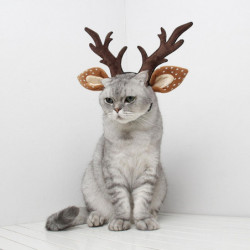 Pet Headwear Adjustable Accessories For Cat Puppy Small Dog For Dress Up Party Pet Headwear Adjustable Accessories For Cat Puppy Small Dog For Dress Up Party
