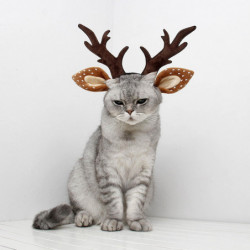 Pet Headwear Adjustable Accessories For Cat Puppy Small Dog For Dress Up Party Pet Headwear Adjustable Accessories For Cat Puppy Small Dog For Dress Up Party