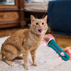 2Pcs Cat Strip Squeeze Spoon, Pet Feeder Cat Strip Squeeze Spoon,Sliding Cat Squeeze Liquid Snack Feeding Spoon 2Pcs Cat Strip Squeeze Spoon, Pet Feeder Cat Strip Squeeze Spoon,Sliding Cat Squeeze Liquid Snack Feeding Spoon