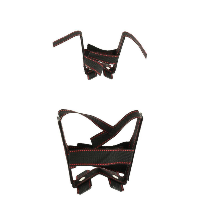 2x Pet Dog Ear Care Tools Ear Stand Up Sticker For Small Medium Large Dogs