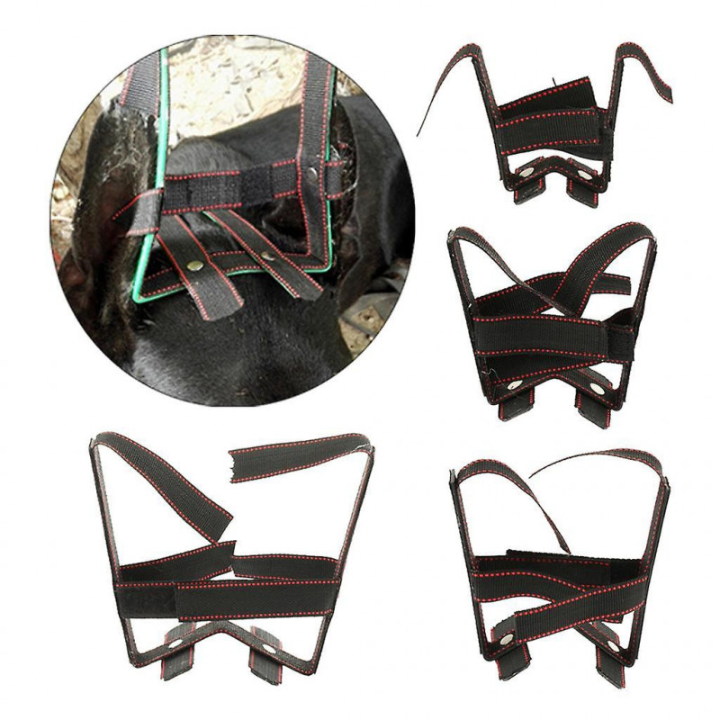 2x Pet Dog Ear Care Tools Ear Stand Up Sticker For Small Medium Large Dogs