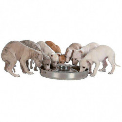 Trixie 25282 Puppy Bowl, Stainless Steel, 4 L/ 38 Cm Trixie 25282 Puppy Bowl, Stainless Steel, 4 L/ 38 Cm
