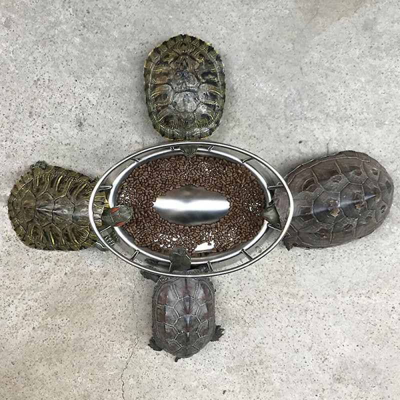 1pc Creative Novelty Stainless Steel Turtle Pet Tortoise Feeding Tool Food Bowl