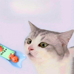 Cat Noodle Squeeze Spoon, Cat Noodle Feeder, Suitable for Licking Wet Cat Snacks, Pet Snack Feeding Tools,Pet Supplies A Cat Noodle Squeeze Spoon, Cat Noodle Feeder, Suitable for Licking Wet Cat Snacks, Pet Snack Feeding Tools,Pet Supplies A