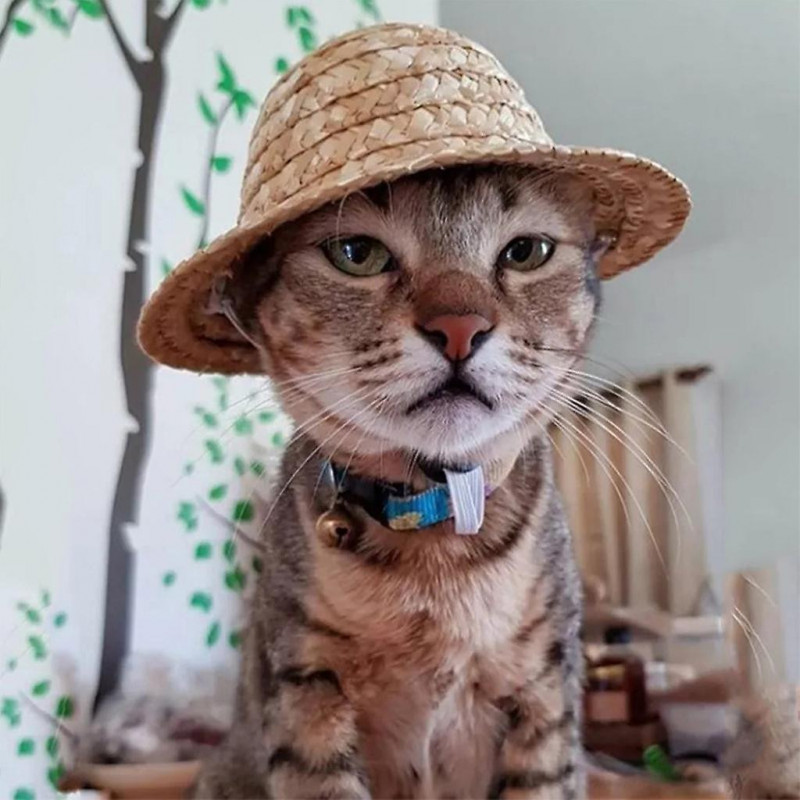 Stylish Pet For Cat Puppy Dog Straw Hat Kitten/puppy Decoration Supplies