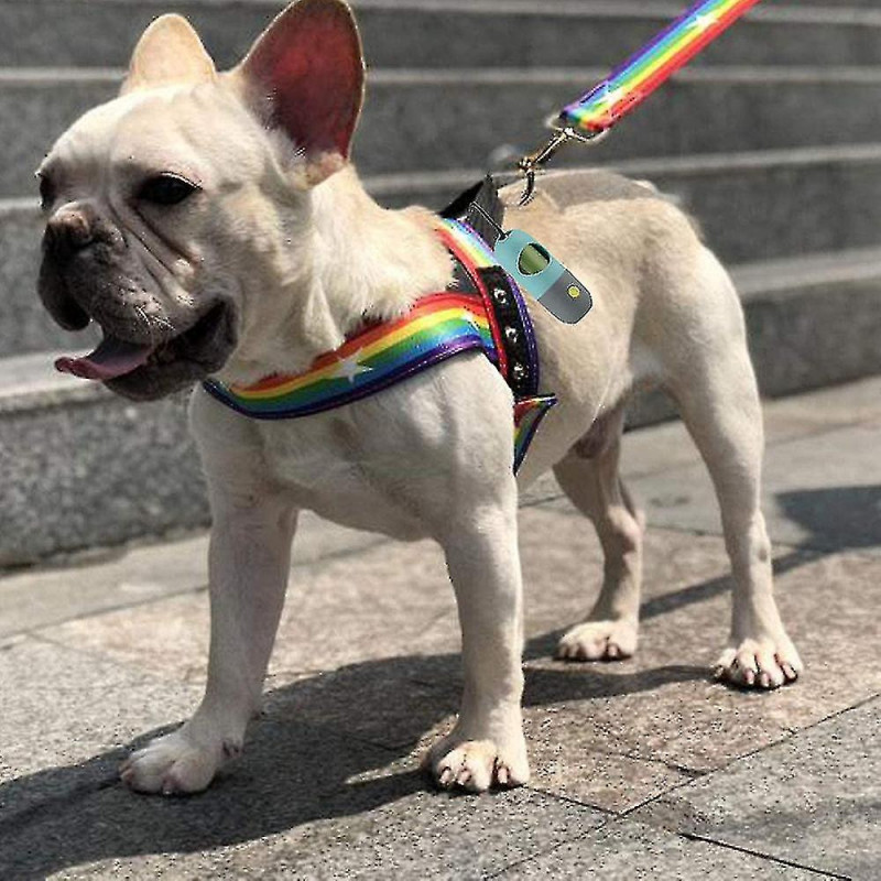 Distributeur de sac à crottes pour chiens avec lampe de poche LED intégrée et clip en métal