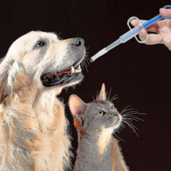 Cat Pill Shooter Pill Dispenser Pet Tablet Syringe Pusher Soft Tip (blue 2 Pieces)