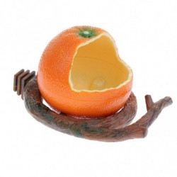 Pet Food Bird Food Bowl Feeding Cup Hamster Drinking Water Dish Orange Pet Food Bird Food Bowl Feeding Cup Hamster Drinking Water Dish Orange