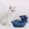 Pet Supplies | Cat Feeding and Watering Supplies