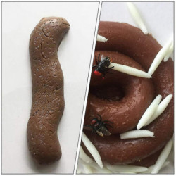 Set Of 1 Realistic Poop Dummy Poop Crap Dog Poop Halloween Easter Prank Props Gross Toys With Storage Bag