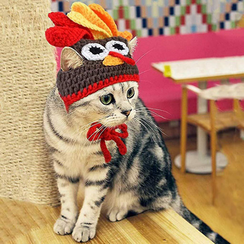 Pet Turkey Hat Mignon Pet Cat Dog Bijoux Fête Chapeau Petit