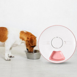 Bol de nourriture pour animaux de compagnie Pratique Grande Capacité Nettoyage facile Chien Chat Lapin Plateau de [...]