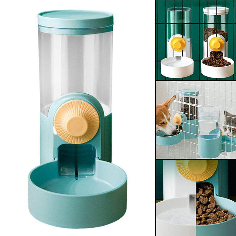 Mangeoire automatique pour chat pour produit d’alimentation alimentaire sèche pour chaton chiot lapin vert