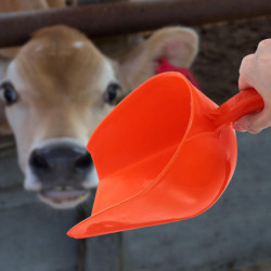 Poultry Feed Shovel Reusable Scoop Shovel Thicken Feed Shovel Poultry Feeding Shovel Poultry Feed Shovel Reusable Scoop Shovel Thicken Feed Shovel Poultry Feeding Shovel