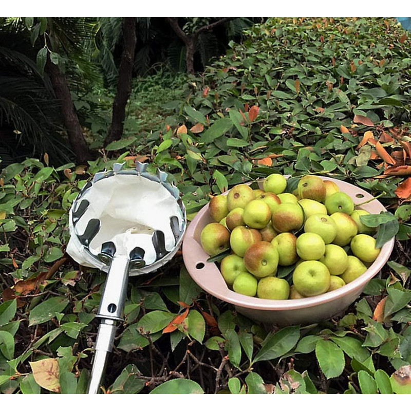 Fruit Pickers Silver Fruit Picker, Without Metal Telescopic Handle Apple Pickers