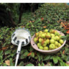 Fruit Pickers Silver Fruit Picker, Without Metal Telescopic Handle Apple Pickers