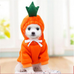Polaire chaude Vêtements d’hiver pour animaux de compagnie Pomme Banane Carotte Fruit Cartoon Vêtements pour [...]