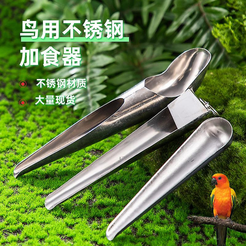 3Pcs Stainless Steel Pigeon Feeder Scoop Rutin Chicken Feeding Scoop Handy Food Feeding Scoop