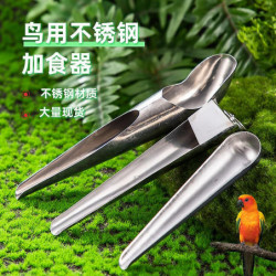 3Pcs Stainless Steel Pigeon Feeder Scoop Rutin Chicken Feeding Scoop Handy Food Feeding Scoop