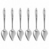 6 Pcs Stainless Steel Spoon Special Feeding Scoop Pet Food Supplies Metal Hand Scoop Parrot Feeding Spoon