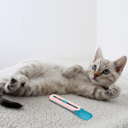 Cat Food Spoon Cat Watering Supplies Cat Feeding Supplies Pet Feeder Cat Dog Feeding Spoon Cat Treats Spoon