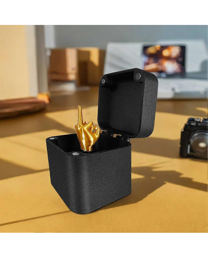 Doigt d’honneur dans une boîte Gag interactif Cadeau Bâillon drôle Cadeau