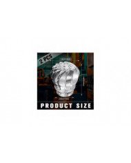 2 pcs 110mm non puissance ventilateur de toit éoliennes Ventilation de grenier Ventilation pour les maisons Usine [...]