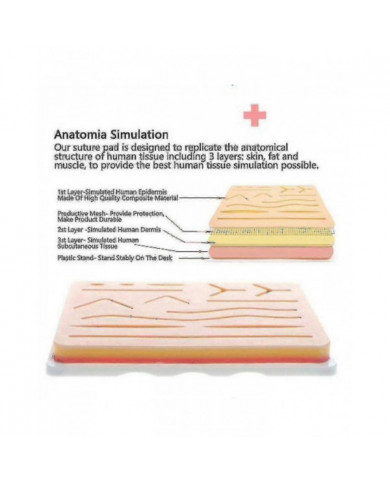 Kit de suture tout compris pour le développement et le raffinement des techniques de suture