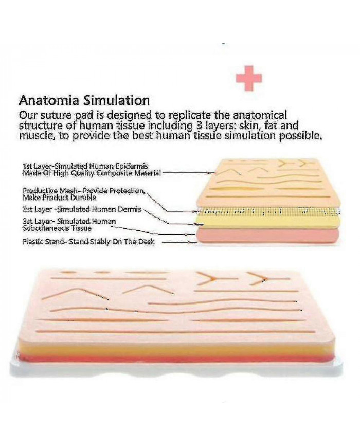 Kit de suture tout compris pour le développement et le raffinement des techniques de suture