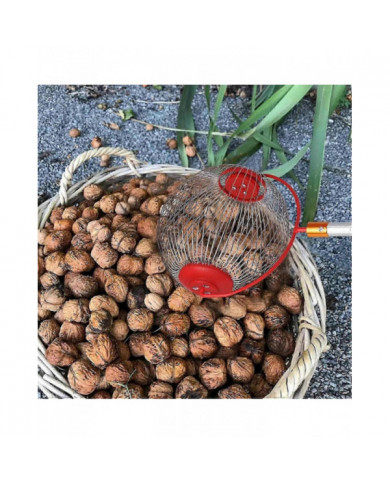Cueilleur de noix Glands Upper - Ouverture latérale Dump Walnut Picker Upper Roller Pinecone Picker Upper-yvan