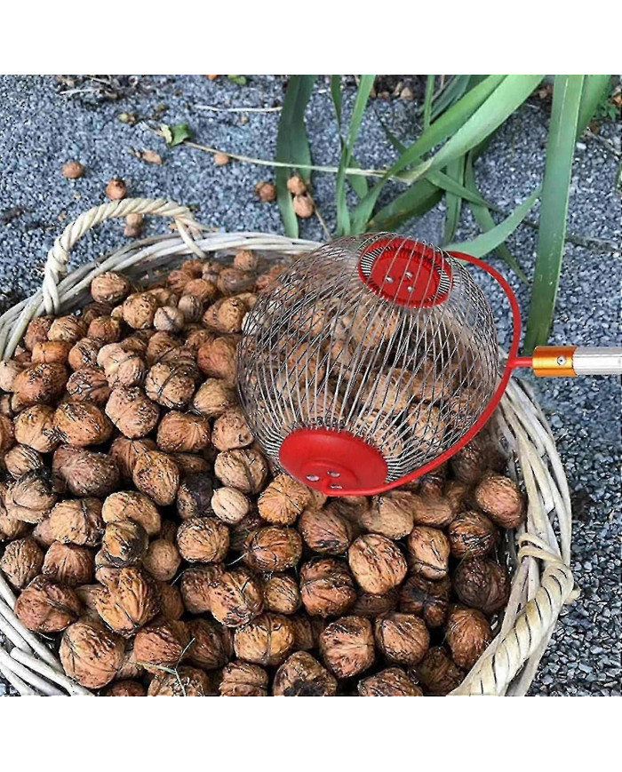 Cueilleur de noix Glands Upper - Ouverture latérale Dump Walnut Picker Upper Roller Pinecone Picker Upper-yvan