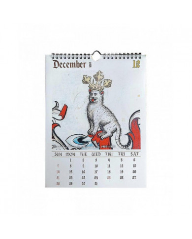 Calendrier médiéval chat 2025 Étrange chat médiéval calendrier mural 2025 laide chat médiéval calendrier 12