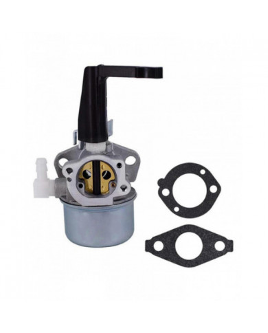 Carburateur pour Briggs & Stratton 696065 697422 110402 110412 215369