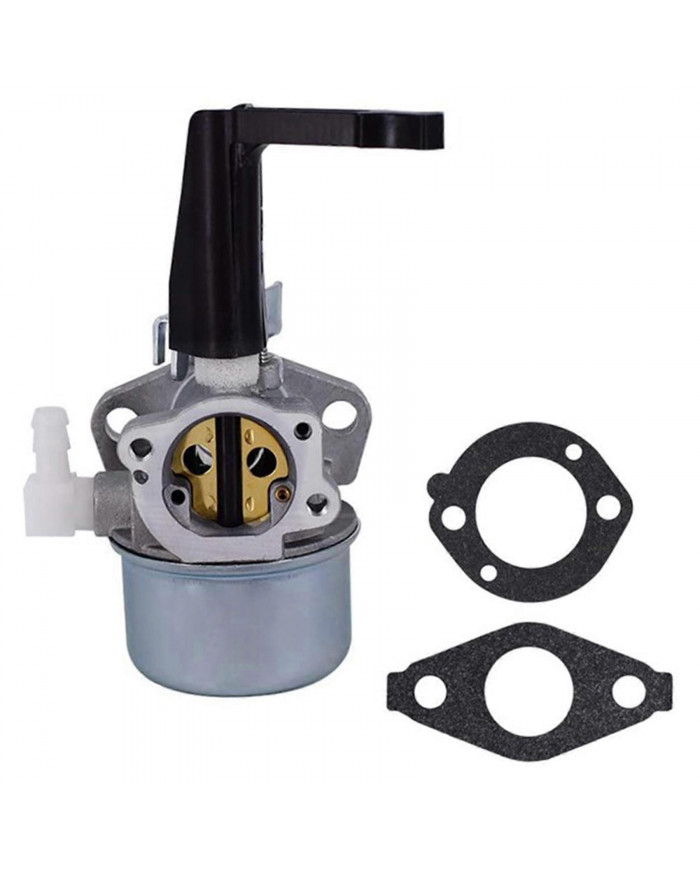 Carburateur pour Briggs & Stratton 696065 697422 110402 110412 215369