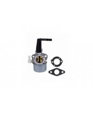 Carburateur pour Briggs & Stratton 696065 697422 110402 110412 215369
