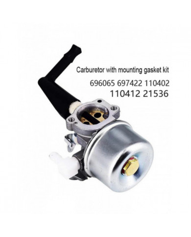 Carburateur pour Briggs & Stratton 696065 697422 110402 110412 215369