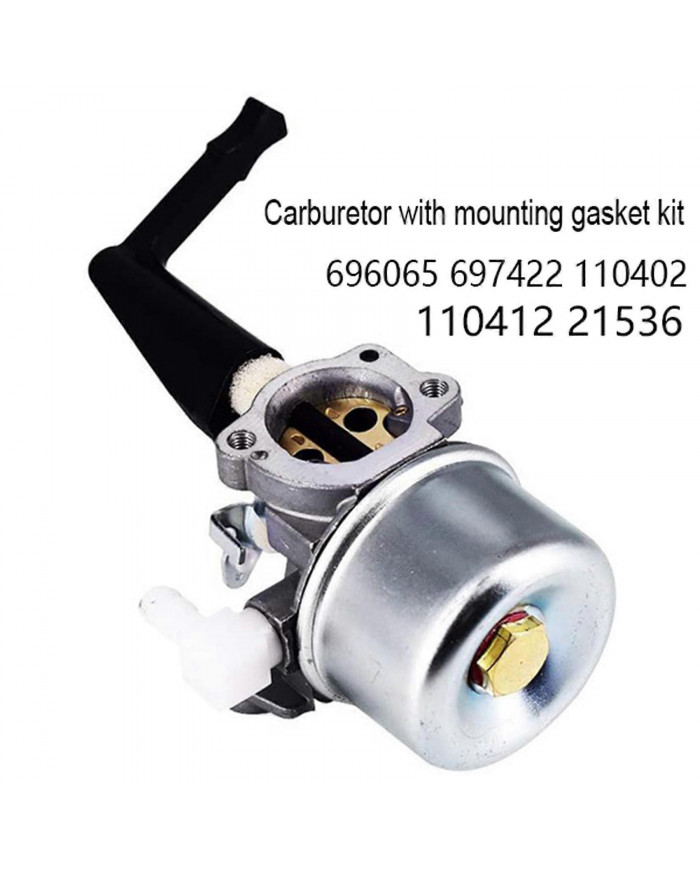 Carburateur pour Briggs & Stratton 696065 697422 110402 110412 215369