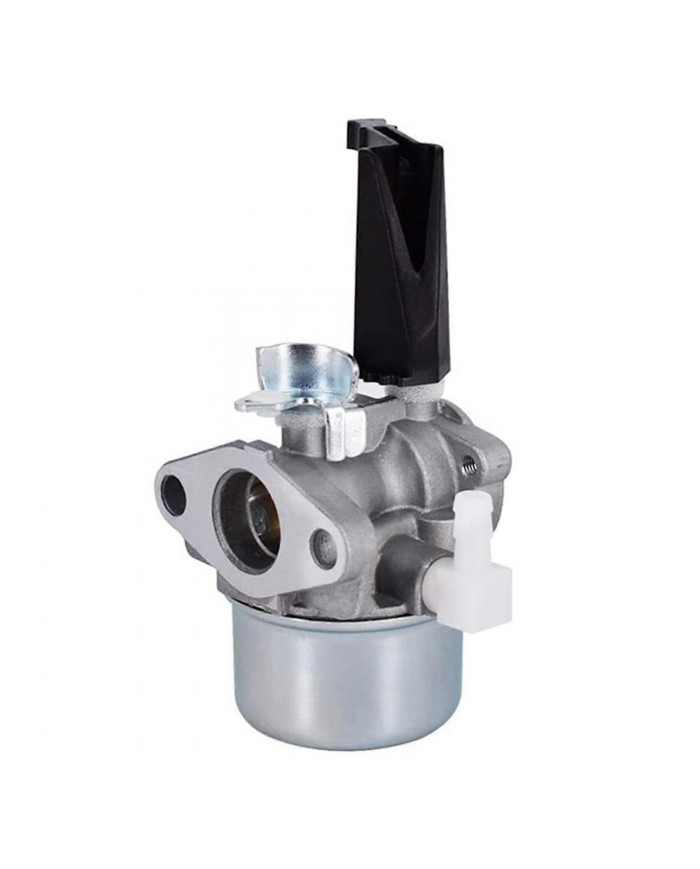 Carburateur pour Briggs & Stratton 696065 697422 110402 110412 215369