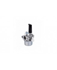 Carburateur pour Briggs & Stratton 696065 697422 110402 110412 215369
