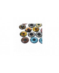 20Pcs Glass Doll Eyes Animal DIY Crafts Eyeballs For Dinosaur Eye Accessories Jewelry Making Handmade 8mm/12mm/18mm