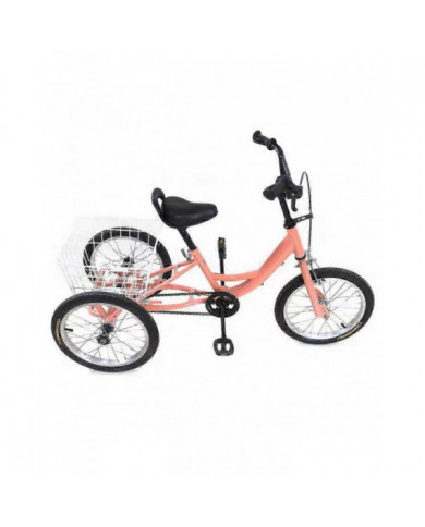 Tricycle pour enfants à vitesse unique de 16 pouces avec grand panier