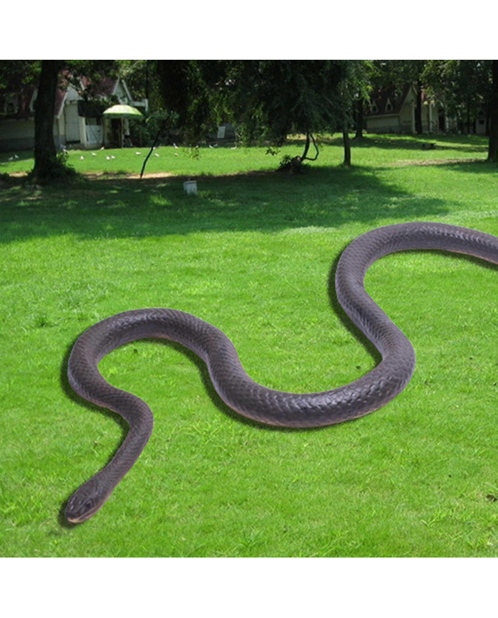 Farce de serpent avec clip de ficelle - Serpent sur une farce de corde qui poursuit les gens jouet, farce de [...]