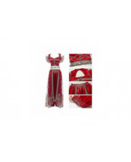 Festival Arabian Princess Costumes Indian Dance Broder Bollywood Jasmine Costume Party Cosplay Jasmine Princess [...]