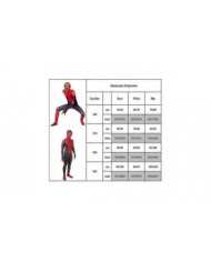 Loin de la maison Costume Unisexe Spiderman Costume Adulte Halloween Party Cosplay Costumes Suit-r