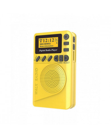 Radio numérique DAB de poche Mini DAB+ Radio numérique avec lecteur MP3 Radio FM Écran LCD