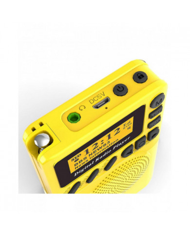 Radio numérique DAB de poche Mini DAB+ Radio numérique avec lecteur MP3 Radio FM Écran LCD