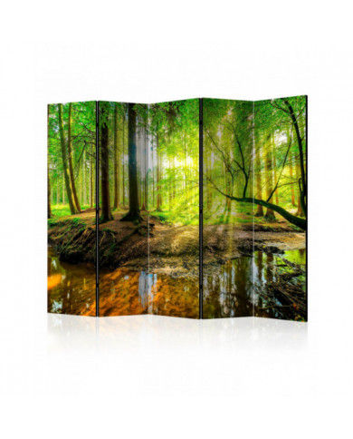 Paravent 5 volets - Forest Stream II [Room Dividers]
