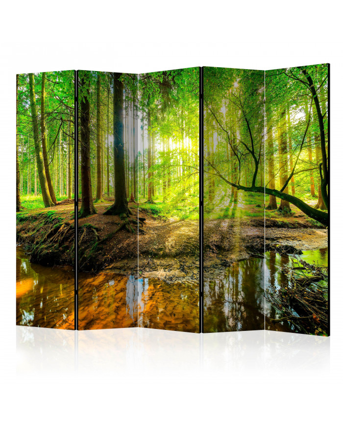 Paravent 5 volets - Forest Stream II [Room Dividers]