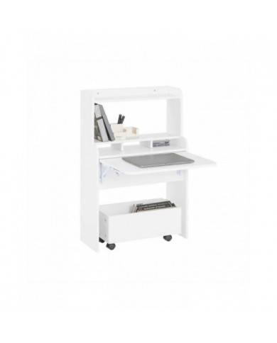 SoBuy Bureau de table pliante pour enfants avec coffre de rangement mobile, FWT105-W